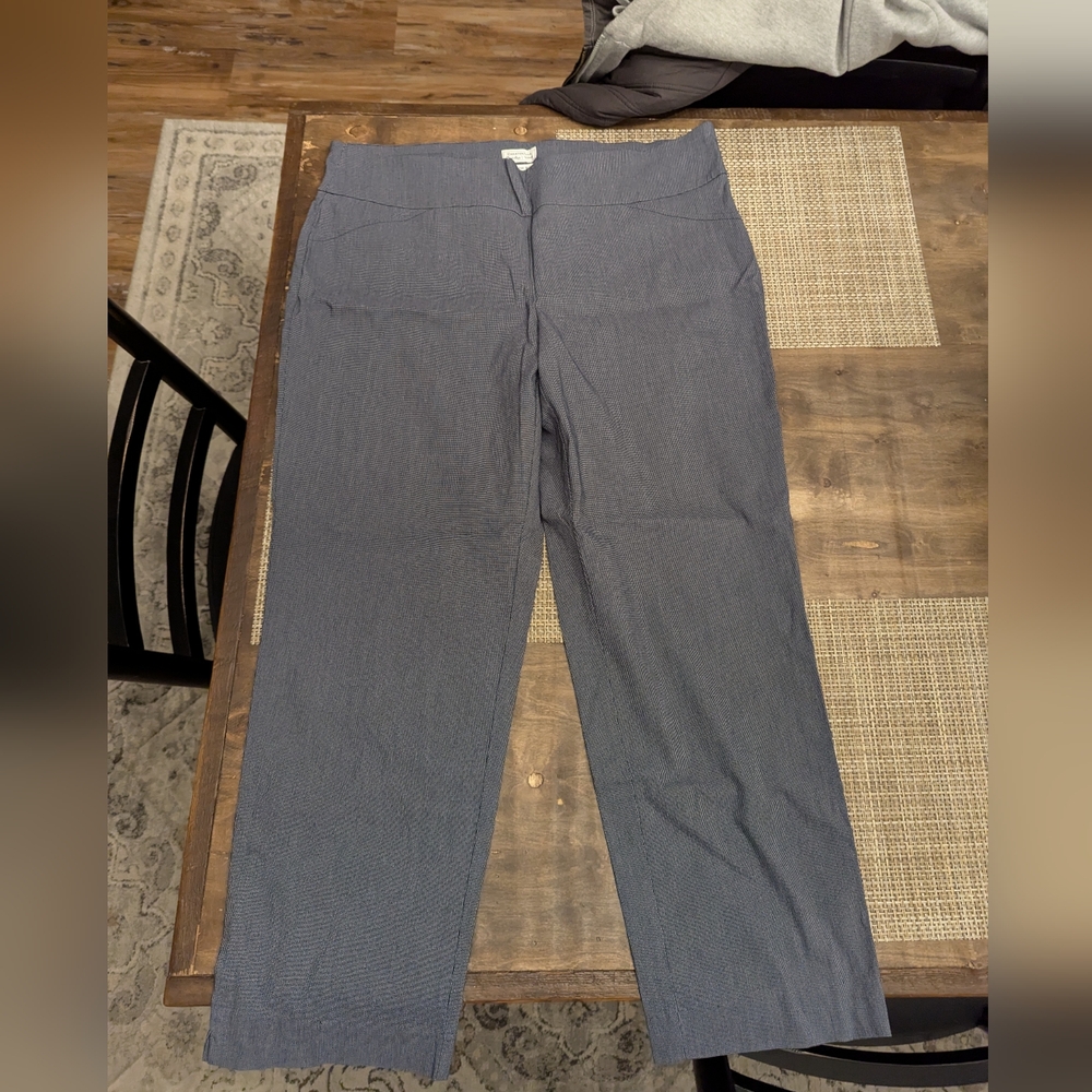 Women's Charter Club Gray/Blue Pants sz 20W